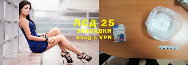 ГАЛЛЮЦИНОГЕННЫЕ ГРИБЫ Алексин