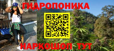 бошки Новозыбков