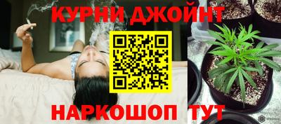 мяу мяу мука Новокубанск